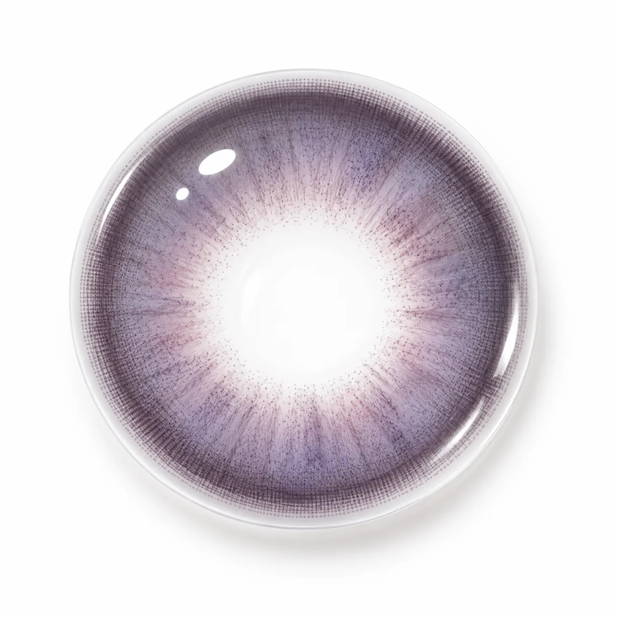 Lensora Studio Lovely Purple Purple Daily colored contact lenses 5