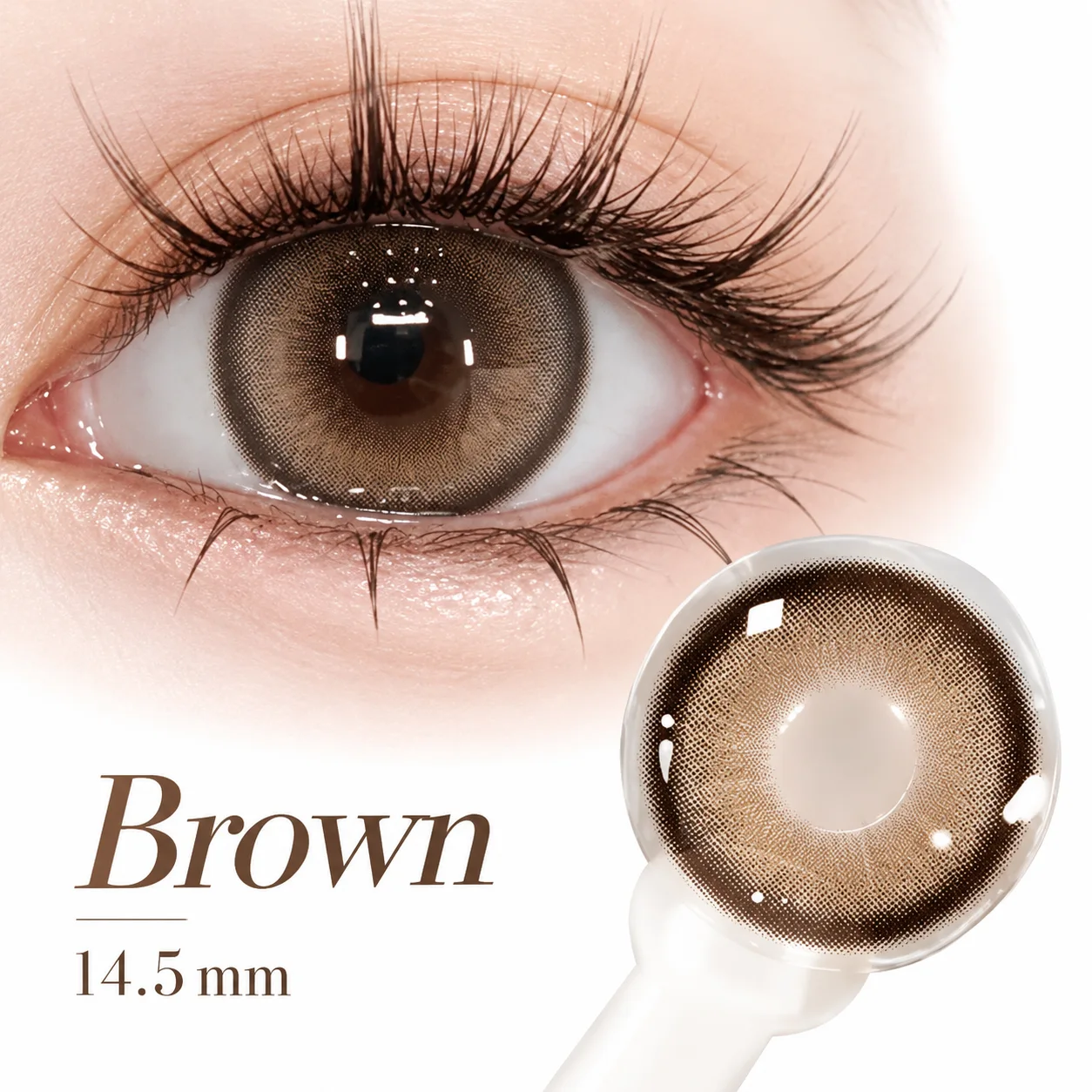 NOVA EYE Flipped Brown Daily Colored Contact Lenses ブラウン ワンデー カラコン 3