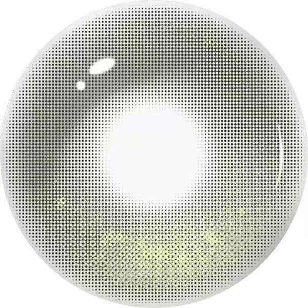 Lensora Studio Island Green Daily Colored Contact Lenses グレー ワンデー カラコン 5