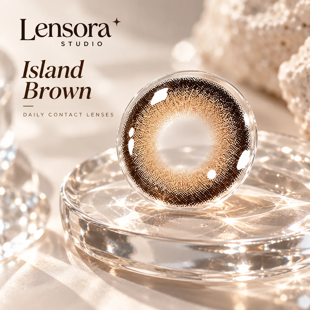 Aurea Halo Series Half-Yearly Disposable Contact Lenses Brown Tageslinsen farbige Kontaktlinsen 2